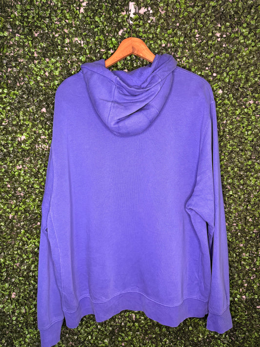 00s Nike Hoodie